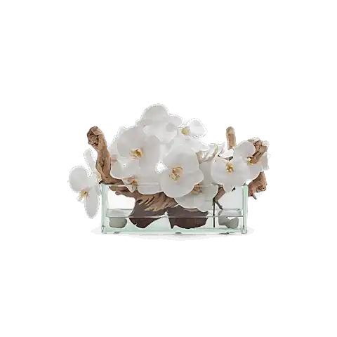 12" Orchid Rectangular White